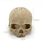 Aquarium decoratie / Schedel As-216 (Hardscaping), Dieren en Toebehoren, Verzenden, Nieuw