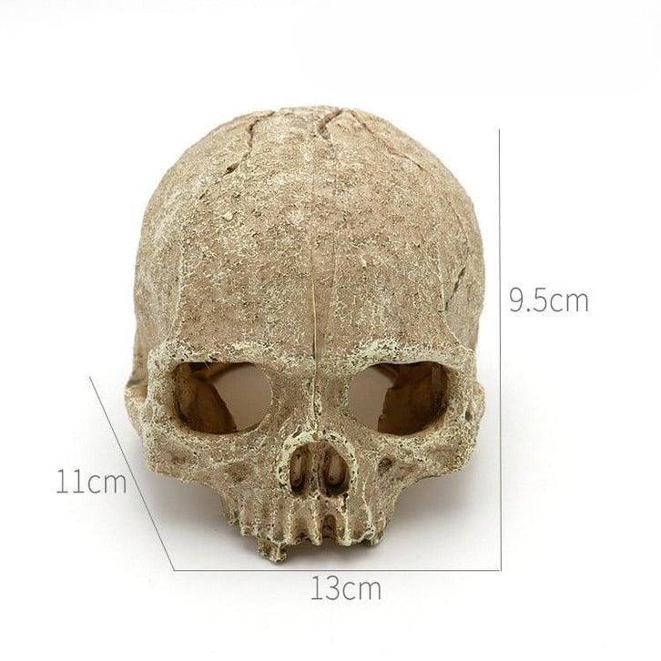 Aquarium decoratie / Schedel As-216 (Hardscaping), Dieren en Toebehoren, Vissen | Aquaria en Toebehoren, Nieuw, Verzenden