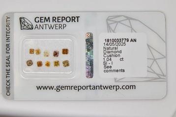 Zonder Minimumprijs - 10 pcs Diamant (Natuurlijk) - 1.04 ct beschikbaar voor biedingen