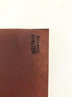 Roland Walter - Roland Walter - Cest le moteur VAP -