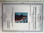 Tennis - Marion Bartoli - Autographe - 2013 - Sportfoto