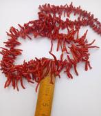 Bloedkoraal Koraal - Corallium rubrum (Zonder Minimumprijs), Verzamelen, Nieuw