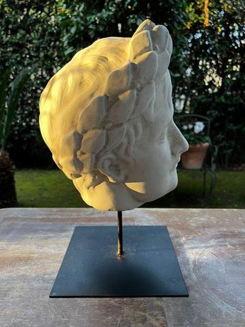 sculptuur, Testa di Napoleone Bonaparte - 37 cm - marmerstof