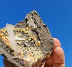 Celestine Dolomite dans Septaria Cristaux sur matrice -, Verzamelen, Mineralen en Fossielen