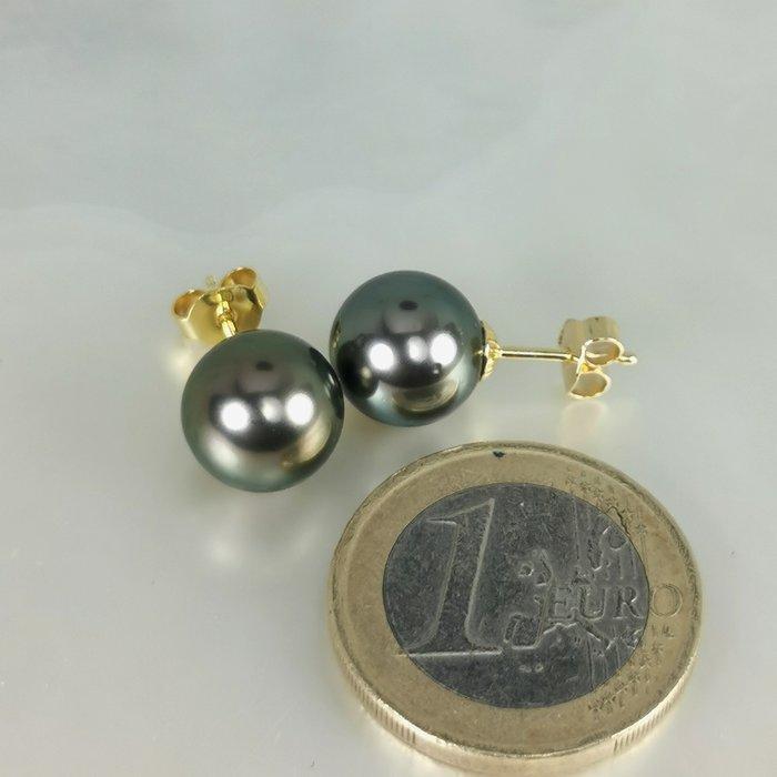 Oorbellen - 18 karaat Geel goud Parel - Tahiti Peacock, Handtassen en Accessoires, Oorbellen
