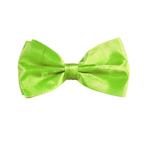 Neon Groene Vlinderdas, Verzenden, Nieuw