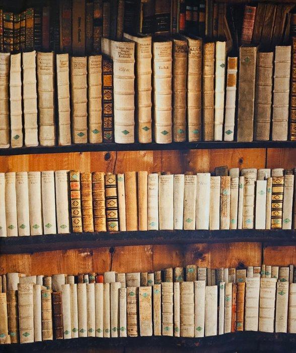 TESSUTO Libreria antica - Antiquariato - 300x280cm, Antiek en Kunst, Curiosa en Brocante