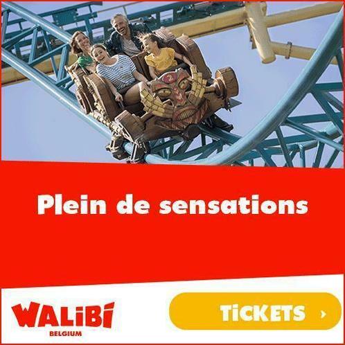 Remise sur les billets Walibi - Walibi Belgium Wavre, Tickets & Billets, Loisirs | Parcs d'attractions