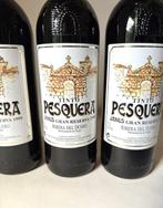 1995 Alejandro Fernández, Tinto Pesquera Janus - Ribera, Nieuw