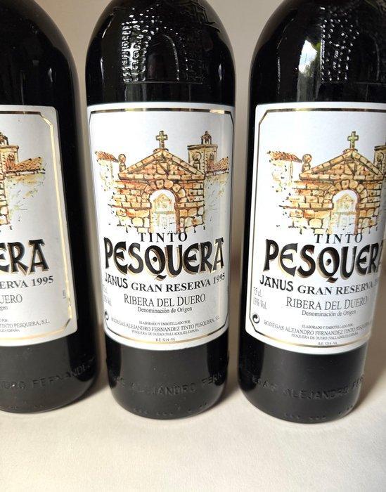 1995 Alejandro Fernández, Tinto Pesquera Janus - Ribera, Verzamelen, Wijnen