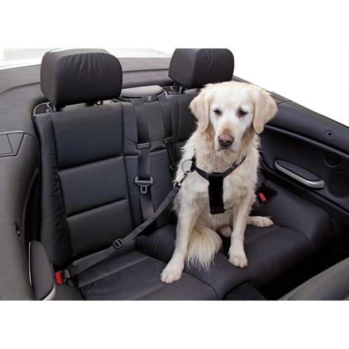 Autotuig maat m, zwart, in grootte verstelbaar - kerbl, Dieren en Toebehoren, Honden-accessoires, Nieuw