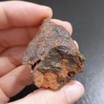 Wolf Creek-meteoriet. Krater maker - 50.2 g