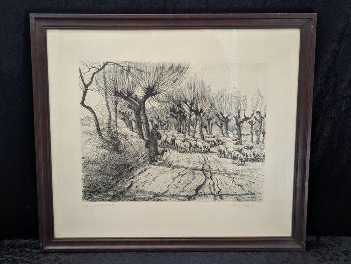 Wilhelm Hambüchen (1869-1939) - Hirte mit Schafherde an, Antiek en Kunst, Antiek | Overige Antiek