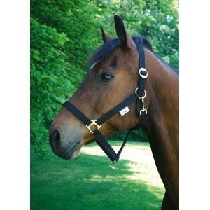 Licol nylon classic noir taille 00, Animaux & Accessoires, Chevaux & Poneys | Autres trucs de cheval
