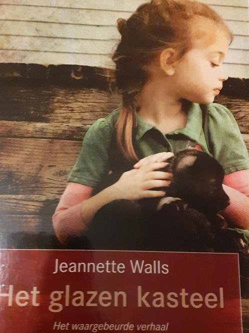 Het glazen kasteel 9789044336054 Jeannette Walls, Boeken, Romans, Zo goed als nieuw, Verzenden