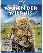 Waisen der Wildnis [Blu-ray]  DVD, Verzenden