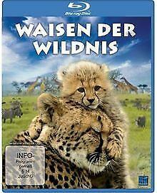 Waisen der Wildnis [Blu-ray]  DVD, Cd's en Dvd's, Blu-ray, Zo goed als nieuw, Verzenden