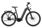 elektrische fiets Flyer Gotour 6 3.40 Comfort, Sport en Fitness, Ophalen, Nieuw