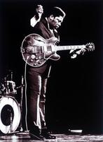 Gijsbert Hanekroot - B.B. King, Amsterdam, 1972