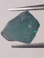 Natural bluish green Apatite - 1.593 ct - Rough Gemstone - u, Verzenden