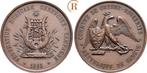 Brons medaille von Schluetter 1893 Schweiz Genf:, Timbres & Monnaies, Pièces & Médailles, Verzenden