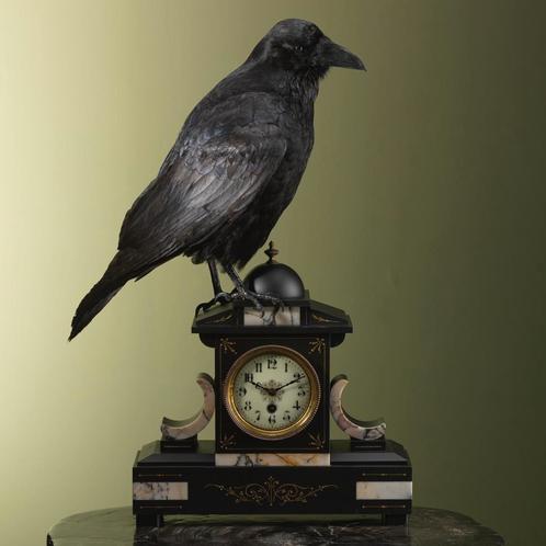 Raaf op Klok Taxidermie Opgezette Dieren By Max, Verzamelen, Dierenverzamelingen, Opgezet dier, Nieuw, Vogel, Ophalen of Verzenden