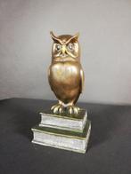 sculptuur, Wise owl on books - 23 cm - Brons