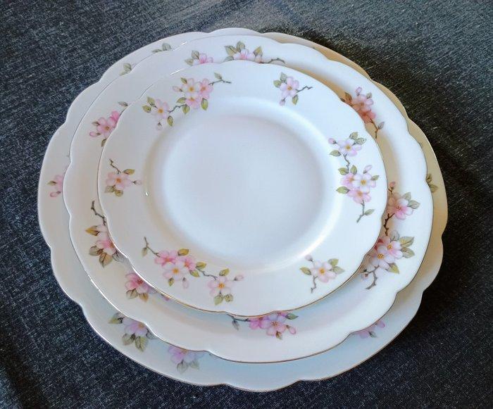 Seltmann Weiden - Tafelservies (20) - Fiori di pesco- Bordo, Antiek en Kunst, Antiek | Meubels | Tafels