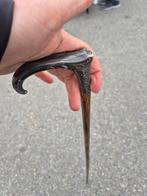 Wandelstok - Zilver, Bamboe - Wandelstok met zilveren knop