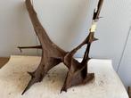 Fine Sinking Wood Selected  FS358 120x95x40 cm, Ophalen of Verzenden, Nieuw, Plant(en), Steen of Hout