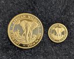 Somalie. 20 Shilling / 100 Shilling 2025 African Wildlife -