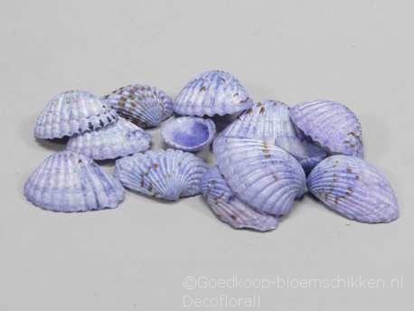 Tiger Chippy schelpen blauw, 500 gram, Hobby & Loisirs créatifs, Bricolage