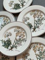 Villeroy & Boch - Plat (6) - botanica - Porcelaine