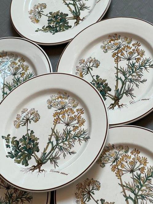Villeroy & Boch - Plat (6) - botanica - Porcelaine, Antiek en Kunst, Antiek | Meubels | Tafels