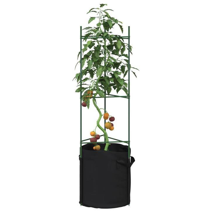 vidaXL Tomatenkooi met plantenzak 2 st 116 cm staal en, Tuin en Terras, Bloembakken en Plantenbakken, Nieuw, Verzenden