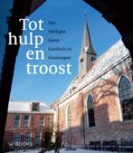 Tot hulp en troost 9789462581654 Martin Hillenga, Boeken, Verzenden, Zo goed als nieuw, Martin Hillenga