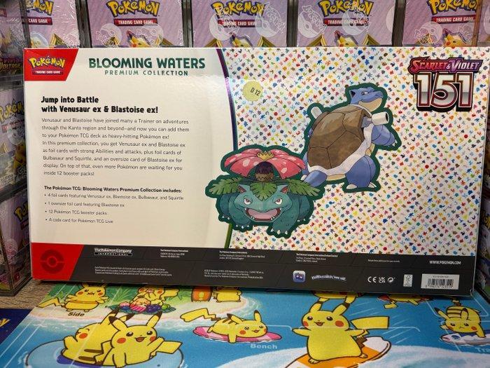 Pokémon - 1 Box - Blooming Waters Premium Collection -, Hobby en Vrije tijd, Verzamelkaartspellen | Pokémon