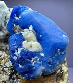 Top blauwe afghanitische gecoate lazuriet met pyriet Kristal, Collections, Minéraux & Fossiles