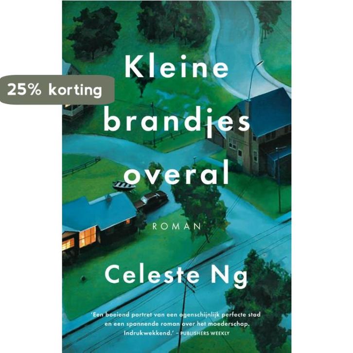 Kleine brandjes overal 9789056726119 Celeste Ng, Boeken, Romans, Gelezen, Verzenden