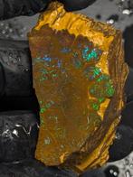 261,05 ct - Grote natuurlijke ruwe Boulder Opal, met een