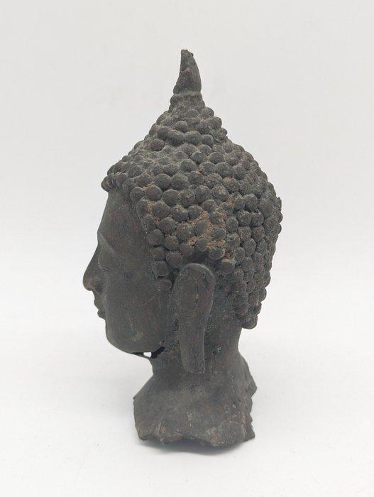 Buddha Büste mit Ushnisha - Buste - Azië (Zonder, Antiek en Kunst, Kunst | Niet-Westerse kunst