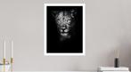 Jeffrey Van Daele - Lioness
