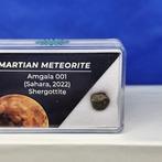 Météorite martienne authentique ! Amgala 001 (Sahara, 2022).