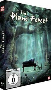 The Piano Forest von Masayuki Kojima  DVD, CD & DVD, DVD | Autres DVD, Envoi