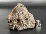 Fantastica Bechar 014 (Eucrite, breccia fondue) (achondrite