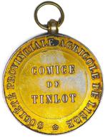 België. Leopold II. Historical Medal N.D Silver - Comice de, Postzegels en Munten