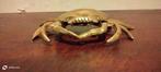 Sculpture, Crabe bronze ciselé - 18 cm - Bronze doré - 1950, Antiek en Kunst