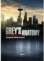 Greys Anatomy: The Complete Ninth Season DVD, Verzenden