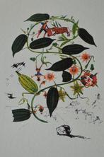 Salvador Dali (1904-1989) - Passion flower, Antiek en Kunst