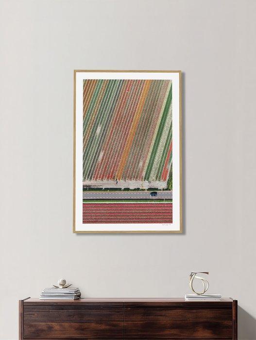 Bernhard Lang - AV_Tulip_Fields_010 - XL, Antiek en Kunst, Kunst | Designobjecten